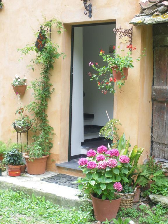 B&B Nelly G Carbuta ภายนอก รูปภาพ